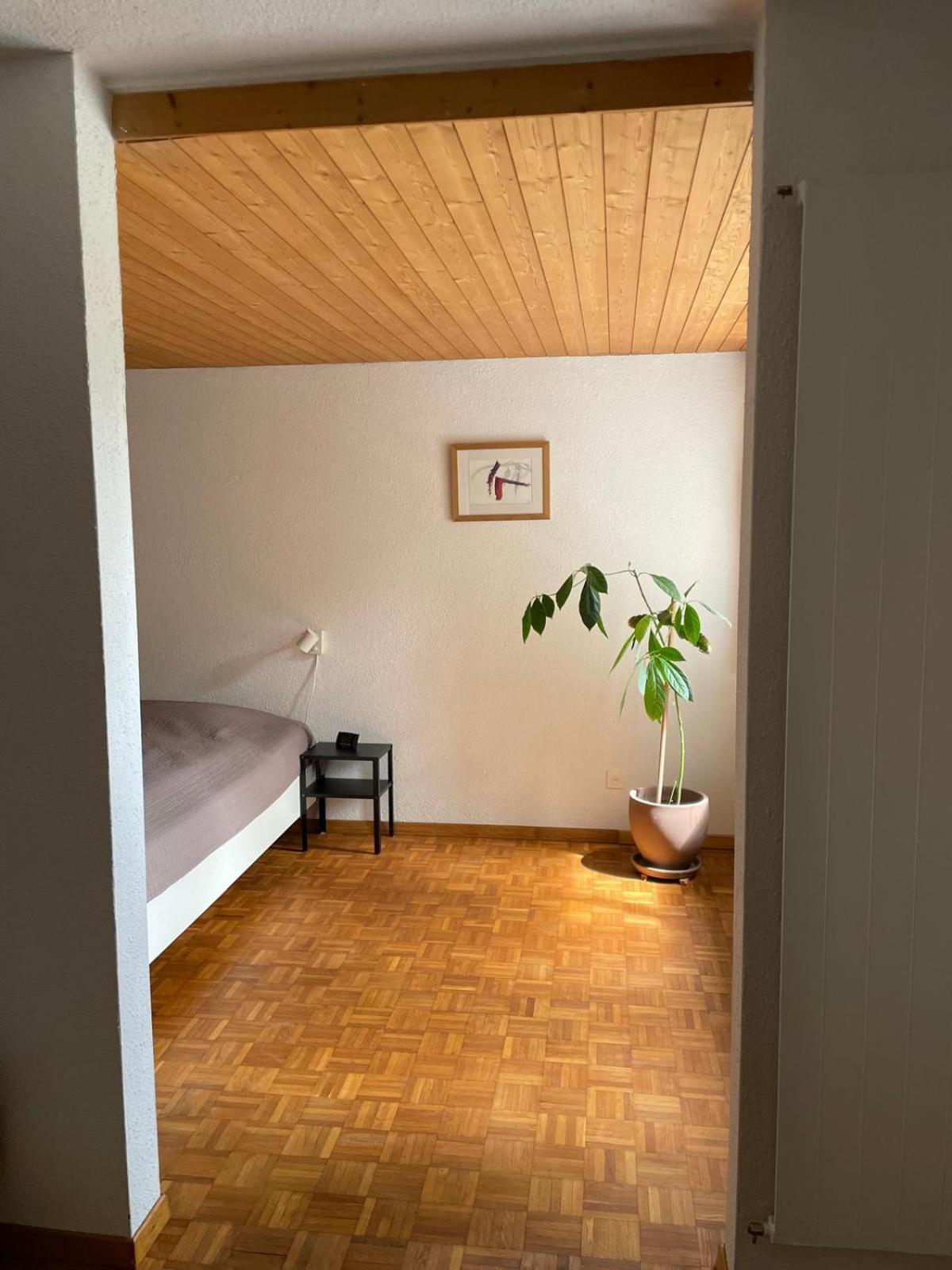 2.5 Zimmerwohnung, Pinut Trin Екстер'єр фото